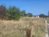 Terrain à bâtir à Lescure-d’Albigeois (81380) 2287903-11178annonce320250930JHAm8.jpeg Maisons France Confort