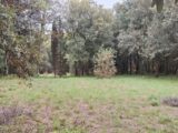 Terrain à bâtir à Raissac-sur-Lampy (11170) 2288915-10986annonce120250930vWwzf.jpeg Maisons France Confort