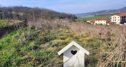 Givors Terrain à bâtir - 2256704-11092annonce120250901wsKD1.jpeg Maisons France Confort