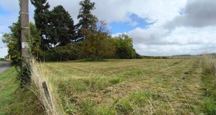 Chalifert Maison neuve - 2290874-11657annonce220251028Z9TVW.jpeg Maisons France Confort