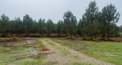 Montussan Terrain à bâtir - 2291418-1803annonce120251002ug9G5.jpeg Maisons France Confort