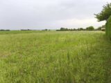 Terrain à bâtir à Genté (16130) 2291563-11268annonce120250612XdTrh.jpeg Maisons France Confort