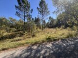 Terrain à bâtir à Vagnas (07150) 2291877-11001annonce1202510021z9WN.jpeg Maisons France Confort