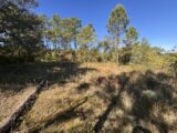 Terrain à bâtir à Vagnas (07150) 2291877-11001annonce4202510024xxa0.jpeg Maisons France Confort