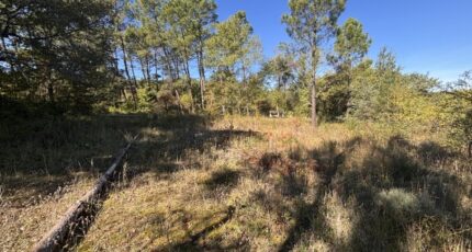 Vagnas Terrain à bâtir - 2291877-11001annonce4202510024xxa0.jpeg Maisons France Confort