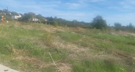 Castelginest Maison neuve - 2289866-5202annonce320251001vxQ4z.jpeg Maisons France Confort