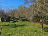 Maison à construire à Bazas (33430) 2293162-11284annonce1202510039dpcd.jpeg Maisons France Confort
