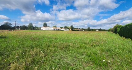 Saint-Gauzens Maison neuve - 2293235-11178annonce420251003xEf0U.jpeg Maisons France Confort