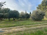 Terrain à bâtir à Saint-Chamas (13250) 2293385-7289annonce220251003bfryG.jpeg Maisons France Confort