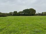 Terrain à bâtir à Alençon (61000) 2293658-3704annonce1202510032vgbZ.jpeg Maisons France Confort