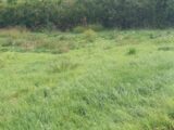 Maison à construire à Villelaure (84530) 2294439-2970annonce220251004ymhqM.jpeg Maisons France Confort