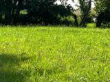 Maison neuve à Urcuit (64990) 2294666-11253annonce120251005PBre9.jpeg Maisons France Confort