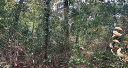 Paillet Terrain à bâtir - 2260340-11306annonce120250904nmycx.jpeg Maisons France Confort