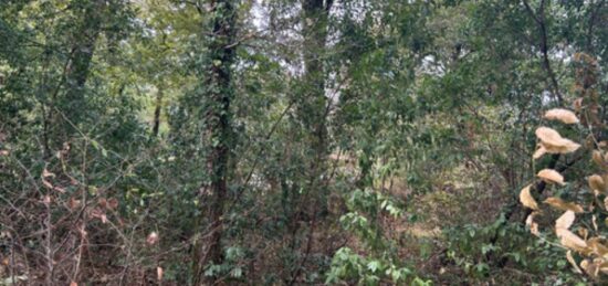 Terrain à bâtir à Paillet, Nouvelle-Aquitaine