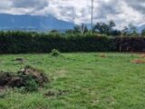 Terrain à bâtir à Groisy (74570) 2295197-10163annonce120251006GN2dD.jpeg Maisons France Confort