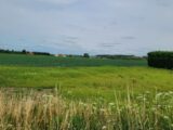 Maison à construire à Steenvoorde (59114) 2295234-1587annonce120251006TfnI2.jpeg Maisons France Confort