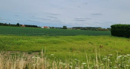 Steenvoorde Maison neuve - 2295234-1587annonce120251006TfnI2.jpeg Maisons France Confort