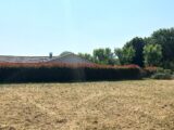 Terrain à bâtir à Le Pizou (24700) 2295778-5020annonce220251006MCmF3.jpeg Maisons France Confort