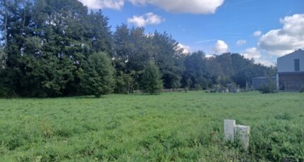 Bourg Terrain à bâtir - 2295400-11193annonce120251006W1dvT.jpeg Maisons France Confort