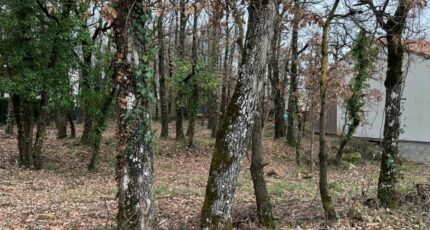 Ronel Maison neuve - 2293654-2684annonce220251003gSnhk.jpeg Maisons France Confort