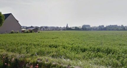 Airan Terrain à bâtir - 2295552-11227annonce1202510065TBqf.jpeg Maisons France Confort