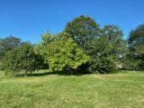 Maison à construire à Raimbeaucourt (59283) 2295716-11655annonce120251006ywfAJ.jpeg Maisons France Confort