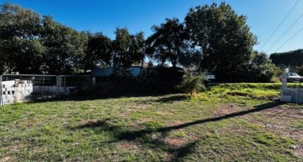 Le Cannet-des-Maures Terrain à bâtir - 2296626-4529annonce120251007t86nR.jpeg Maisons France Confort