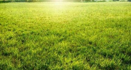 Saint-Paterne-Racan Maison neuve - 2296572-3427annonce120251007WXc9D.jpeg Maisons France Confort