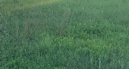 La Valette-du-Var Terrain à bâtir - 2232597-4866annonce120250724Wny87.jpeg Maisons France Confort