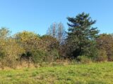 Terrain à bâtir à Saint-Martial-d’Artenset (24700) 2297439-5020annonce120251007FWB3g.jpeg Maisons France Confort