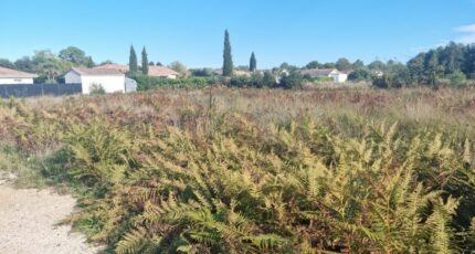 Carcans Terrain à bâtir - 2297622-1076annonce420251007cKABC.jpeg Maisons France Confort