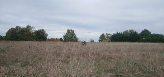 Terrain à bâtir à Saint-Martial-d'Artenset, Nouvelle-Aquitaine