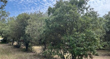 Montségur-sur-Lauzon Terrain à bâtir - 2297726-6150annonce3202510077ulDK.jpeg Maisons France Confort