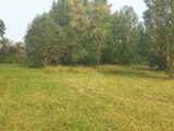 Terrain à bâtir à Ménesplet (24700) 2298134-5020annonce120251008PmSWc.jpeg Maisons France Confort