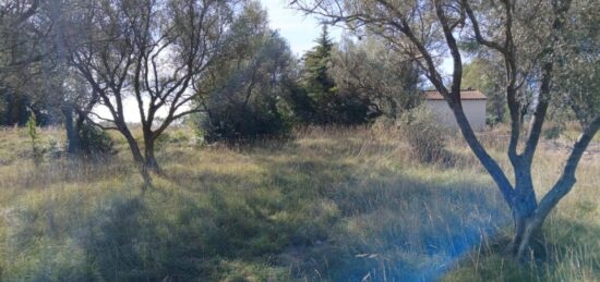 Terrain à bâtir à Valflaunès, Occitanie