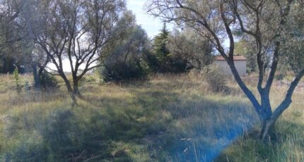 Valflaunès Terrain à bâtir - 2298190-11040annonce120251008t998Q.jpeg Maisons France Confort