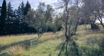 Valflaunès Terrain à bâtir - 2298159-11040annonce120251008fL9PX.jpeg Maisons France Confort