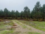 Terrain à bâtir à Montussan (33450) 2298289-1803annonce120251008ct5gu.jpeg Maisons France Confort