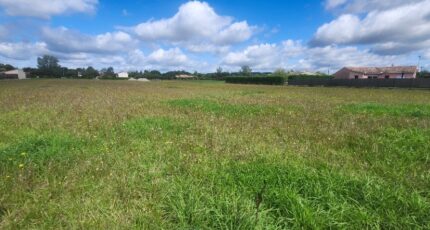 Saint-Gauzens Terrain à bâtir - 2297947-11178annonce320251008nN5ZE.jpeg Maisons France Confort