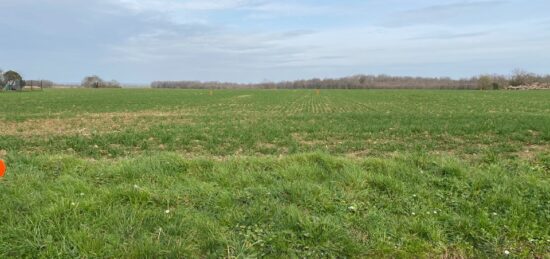 Terrain à bâtir à Plassay, Nouvelle-Aquitaine