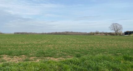 Plassay Terrain à bâtir - 2298832-11194annonce2202510081KJc3.jpeg Maisons France Confort