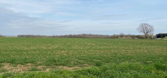 Terrain à bâtir à , Charente-Maritime