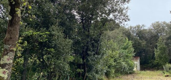 Terrain à bâtir à Saint-Pierre-d'Oléron, Nouvelle-Aquitaine