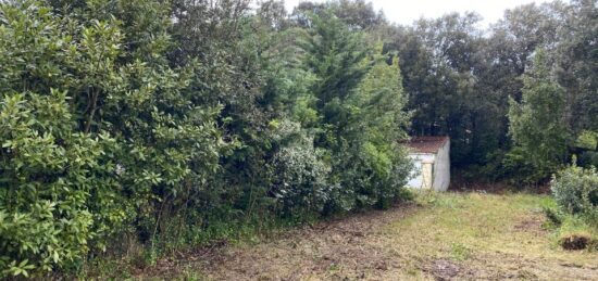 Terrain à bâtir à , Charente-Maritime