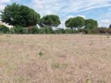 Terrain à bâtir à Corme-Écluse (17600) 2260879-1055annonce120250904UabyQ.jpeg Maisons France Confort