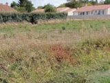 Terrain à bâtir à Le Chay (17600) 2260754-1055annonce120250904LNVvP.jpeg Maisons France Confort