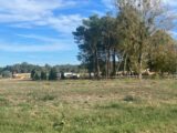 Maison à construire à Noaillac (33190) 2299438-11292annonce120251009o15Tf.jpeg Maisons France Confort