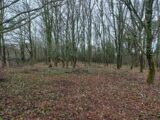 Terrain à bâtir à Saint-Médard-de-Mussidan (24400) 2299539-5020annonce120251009XF0gy.jpeg Maisons France Confort