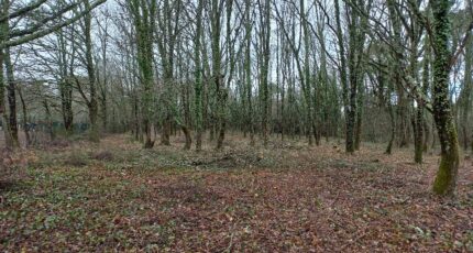 Saint-Médard-de-Mussidan Terrain à bâtir - 2299539-5020annonce120251009XF0gy.jpeg Maisons France Confort