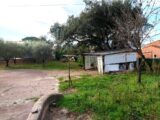 Maison à construire à Puget-sur-Argens (83480) 2299494-11157annonce120251009ZXSJv.jpeg Maisons France Confort